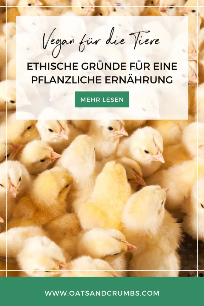 Vegan Fur Die Tiere Ethische Grunde Fur Eine Pflanzliche Ernahrung Oats And Crumbs