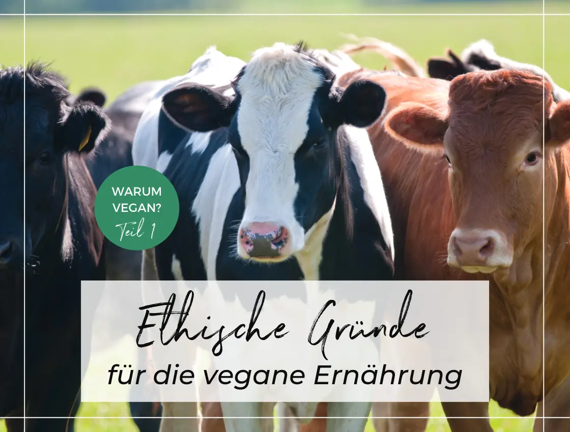 Vegan Fur Die Tiere Ethische Grunde Fur Eine Pflanzliche Ernahrung Oats And Crumbs