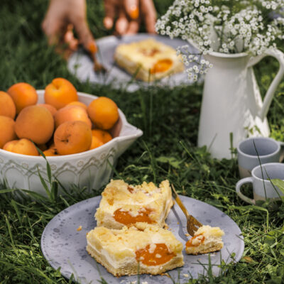 Fruchtiger Marillen-Topfenkuchen mit Streuseln in sommerlicher Kulisse auf der Wiese.