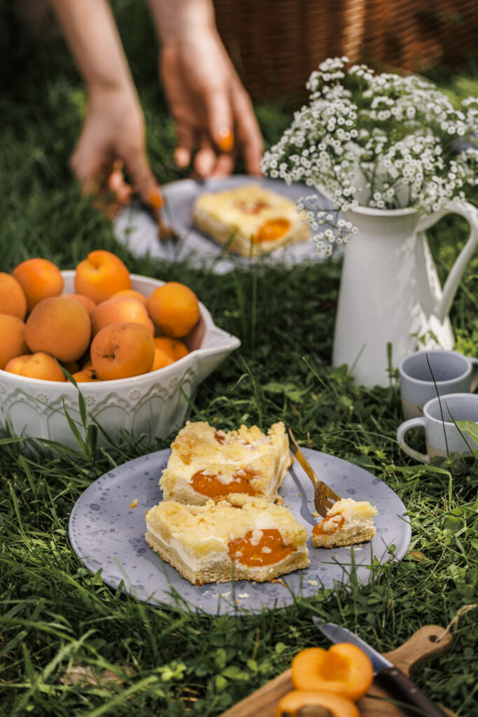 Fruchtiger Marillen-Topfenkuchen mit Streuseln in sommerlicher Kulisse auf der Wiese.