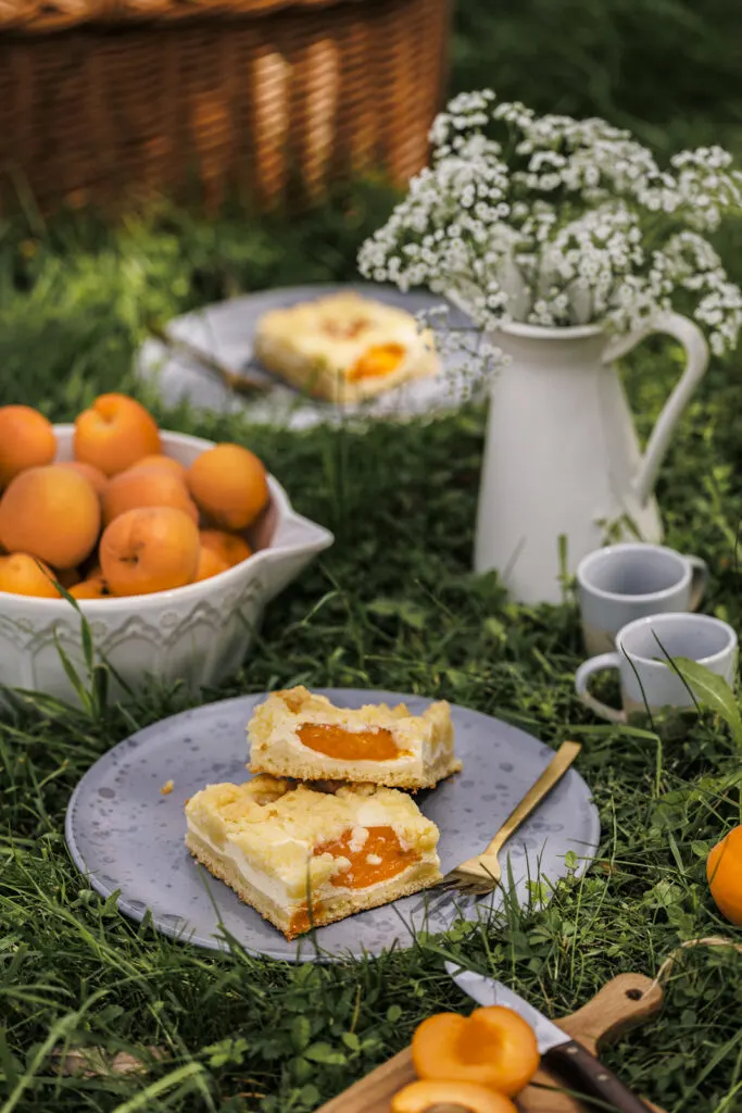 Zwei Stücke Quark-Streuselkuchen mit Aprikosen auf blauem Teller.